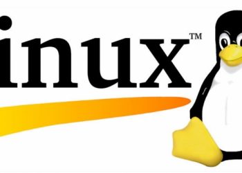 Игры на ОС Linux: установка и запуск