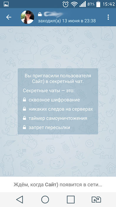  Особенности использования секретного чата в «Telegram»