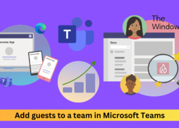 Как добавить гостей в команду в Microsoft Teams