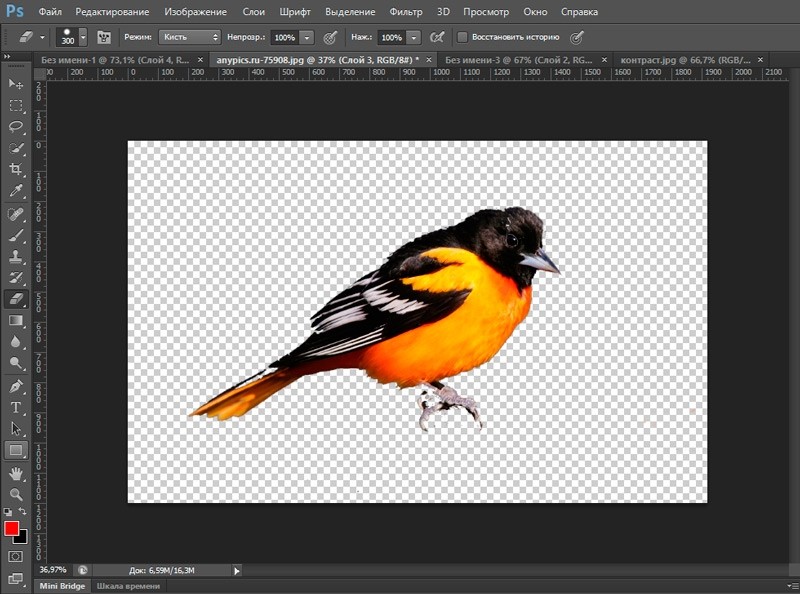  Как вырезать любые объекты в Adobe Photoshop