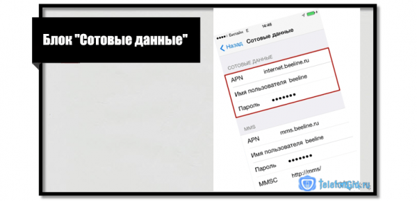 Почему iPhone не видит сеть и что при этом делать