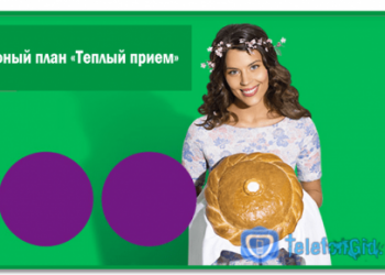Тарифный план «Теплый прием» от Мегафон