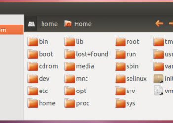 Работа с файлами и директориями в Linux