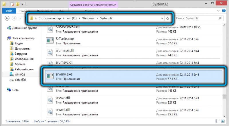  За что отвечает процесс srvany.exe и можно ли его удалить