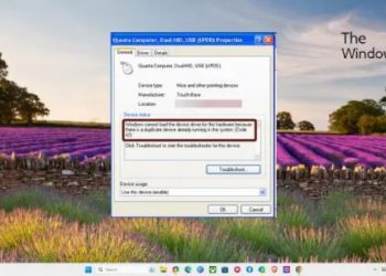 Код 42, Windows не может загрузить драйвер устройства для этого оборудования, поскольку в системе уже запущено дублирующее устройство.