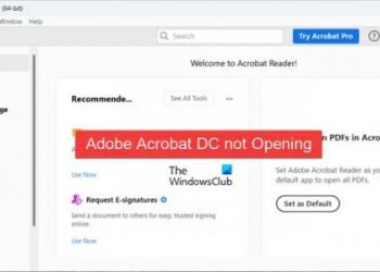 Adobe Acrobat DC не открывается в Windows 11/10