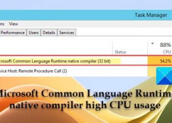 Собственный компилятор Microsoft Common Language Runtime с высокой загрузкой ЦП