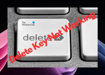 Ключ удаления не работает в Windows 11/10