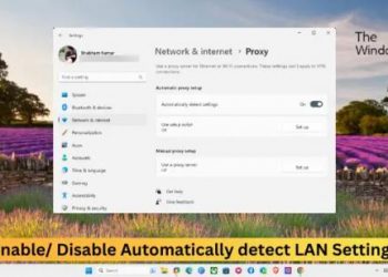 Автоматически определять настройки локальной сети в Windows 11/10