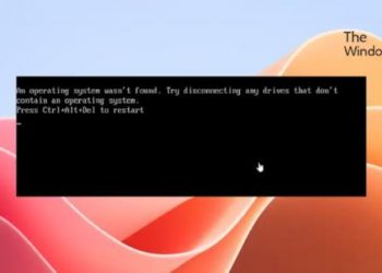 Ошибка «Операционная система не найдена» в Windows 11/10