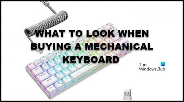 Механические клавиатуры лучше?  На что обратить внимание при покупке?