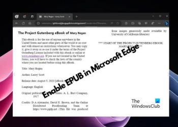 Как включить поддержку EPUB в Microsoft Edge