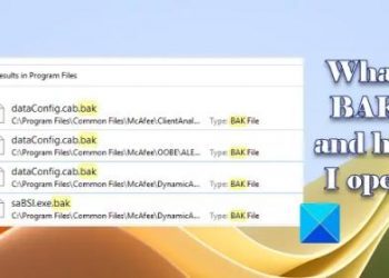 Что такое файл BAK и как его открыть в Windows?