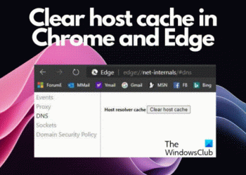 Как очистить кэш хоста в браузере Edge