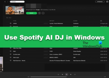 Как использовать Spotify AI DJ в Windows 11/10
