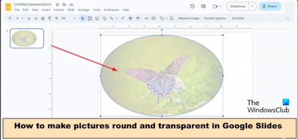 Как сделать изображение круглым и прозрачным в Google Slides