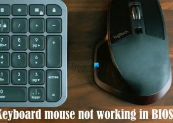 Клавиатура или мышь не работают в BIOS на компьютере с Windows