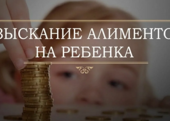Как подать заявление на алименты через Госуслуги пошагово