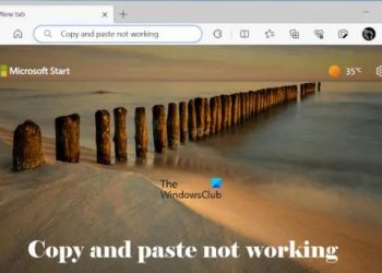 Копирование и вставка не работают в Chrome и Edge