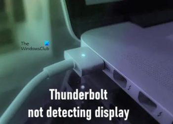 Thunderbolt не обнаруживает дисплей Windows 11