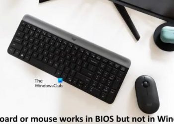 Клавиатура или мышь работают в BIOS, но не в Windows.