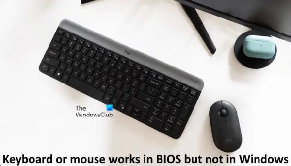 Клавиатура или мышь работают в BIOS, но не в Windows.