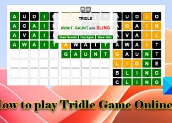 Как играть в Tridle Game Online?