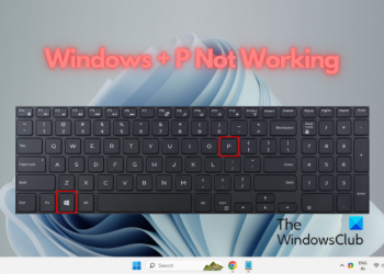 Windows + P не работает в Windows 11/10 (исправление)