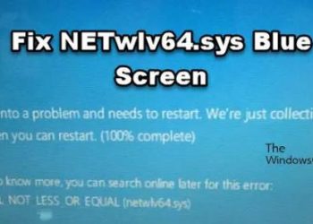 Исправить синий экран NETwlv64.sys в Windows 11/10