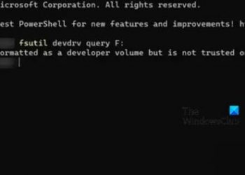 Как установить Dev Drive как доверенный или недоверенный в Windows 11?
