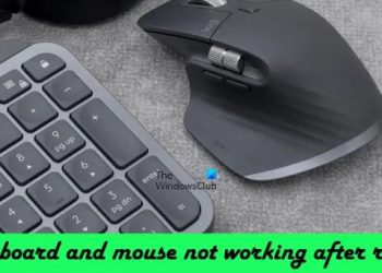Клавиатура и мышь не работают после перезагрузки в Windows 11/10