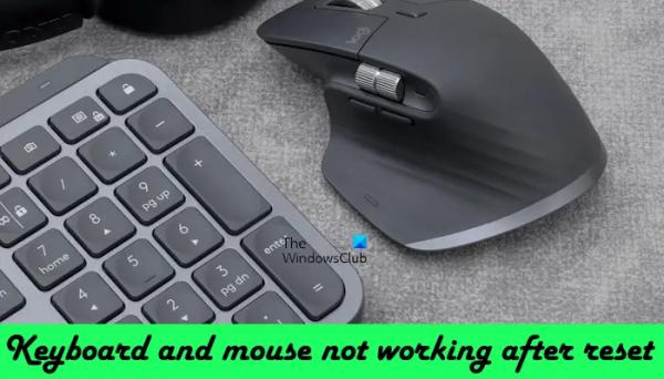 Клавиатура и мышь не работают после перезагрузки в Windows 11/10
