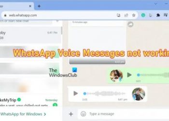 Голосовое сообщение WhatsApp не работает на Android, iPhone или ПК