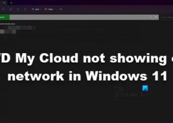 WD My Cloud не отображается в сети в Windows 11
