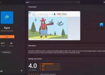 Как удалить фоновое изображение с помощью приложения Paint в Windows 11