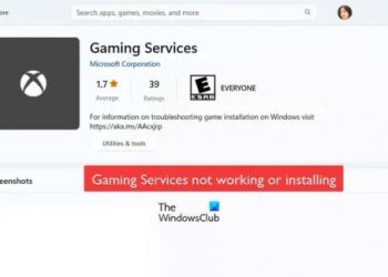 Игровые сервисы не работают или не устанавливаются (исправление)