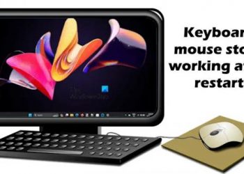 Клавиатура или мышь перестают работать после перезагрузки в Windows 11/10