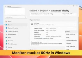 Монитор завис на частоте 60 Гц в Windows