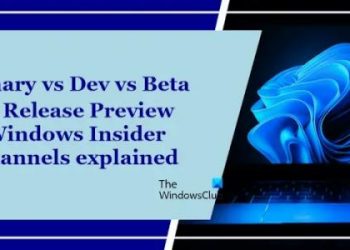 Canary, Dev, Beta и Release Preview Каналы Windows Insider