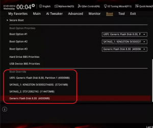 Boot override что это в биосе?