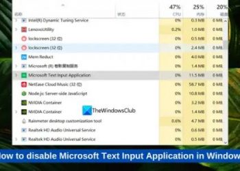 Как отключить приложение Microsoft Text Input в Windows 11/10