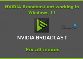 NVIDIA Broadcast не работает в Windows 11