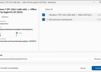 ByteStream Torrent – легкий и необременительный торрент-клиент