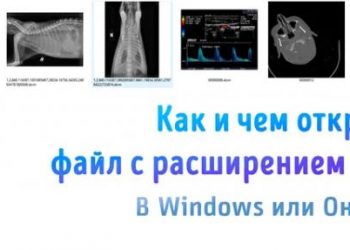 Чем открывать файлы формата DCM – в онлайн или в системе Windows