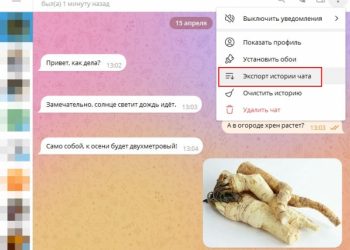 Как сохранить историю чата в Телеграмме