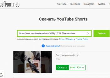Три сервиса для скачивания короткого видео с YouTube