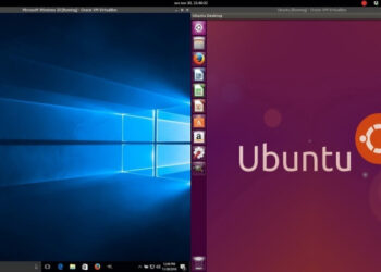 Выбор между Windows и Linux: что выбрать для себя